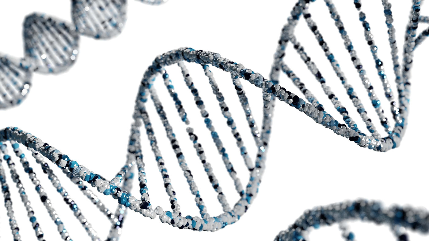 Root Causes of ADHD: Genetics, Environment & More