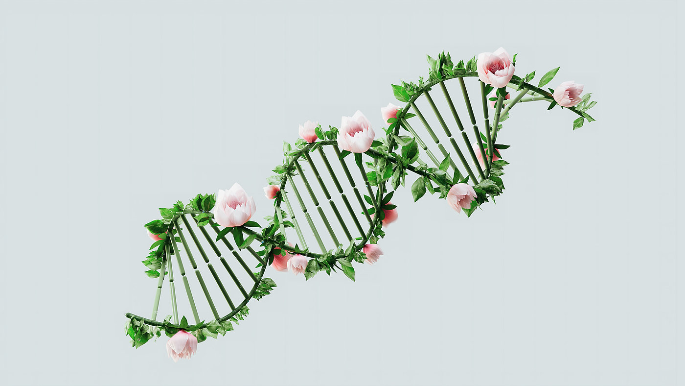 Is ADHD Genetic? The Role of Heredity in ADHD