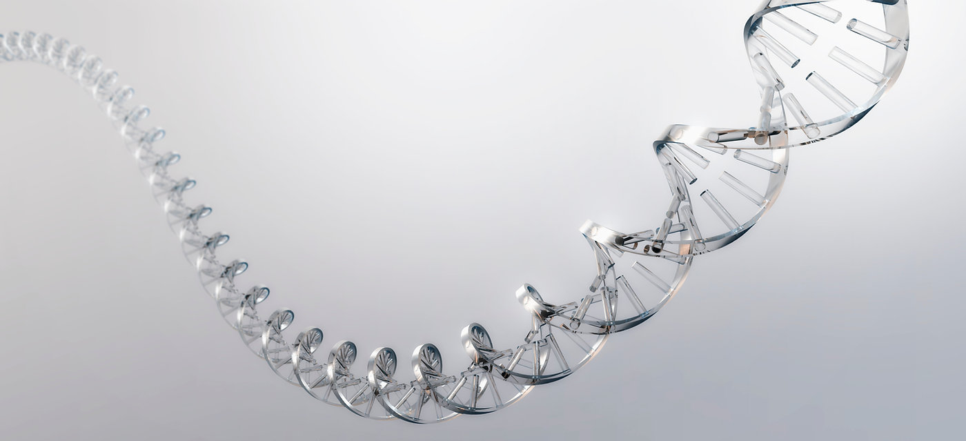 Are You Born with ADHD? Genetic & Environmental Factors